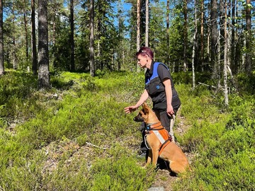 Henkilöetsinnän alkeet